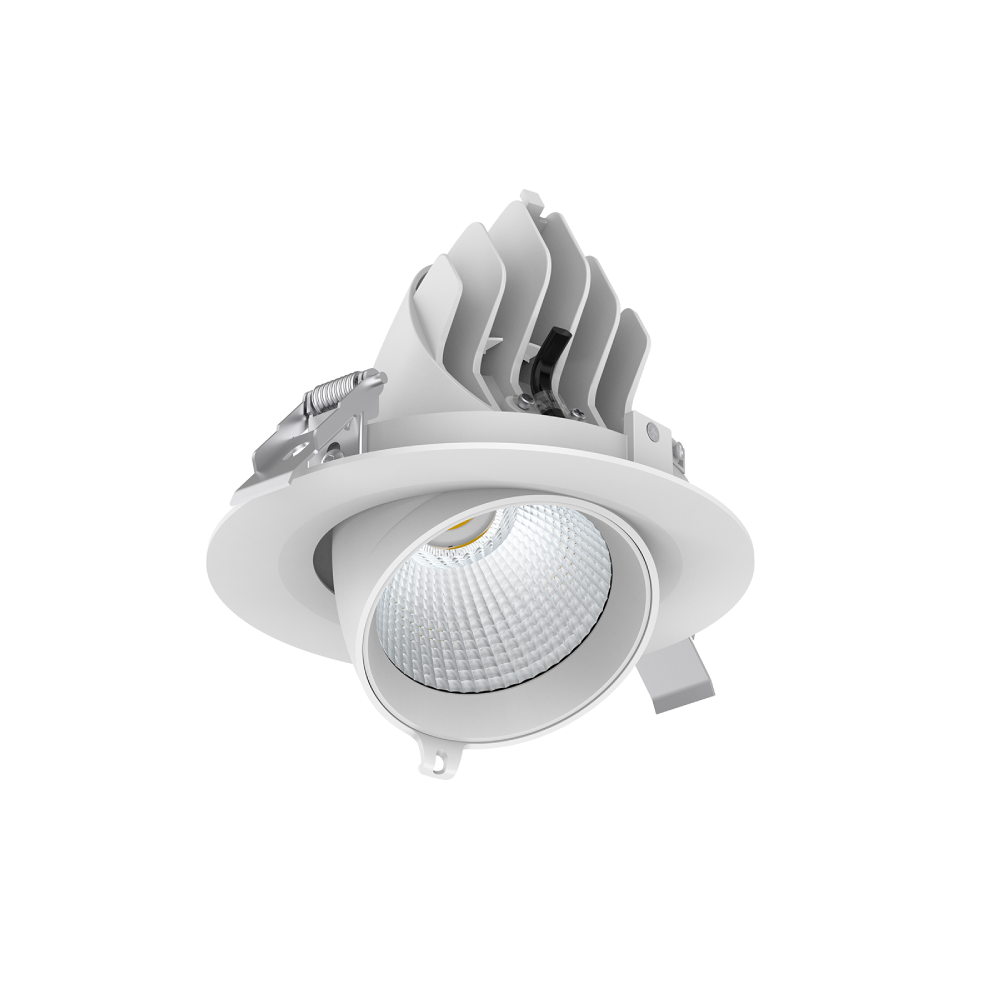 DL335 Scoop Gimbal LED Downlight,LED Downlights for Supermarkets & Retail Stores | Voxreal Fixture,Supermarket, Retail Chain Gondola Shelves and LED Lighting Manufacturer. 