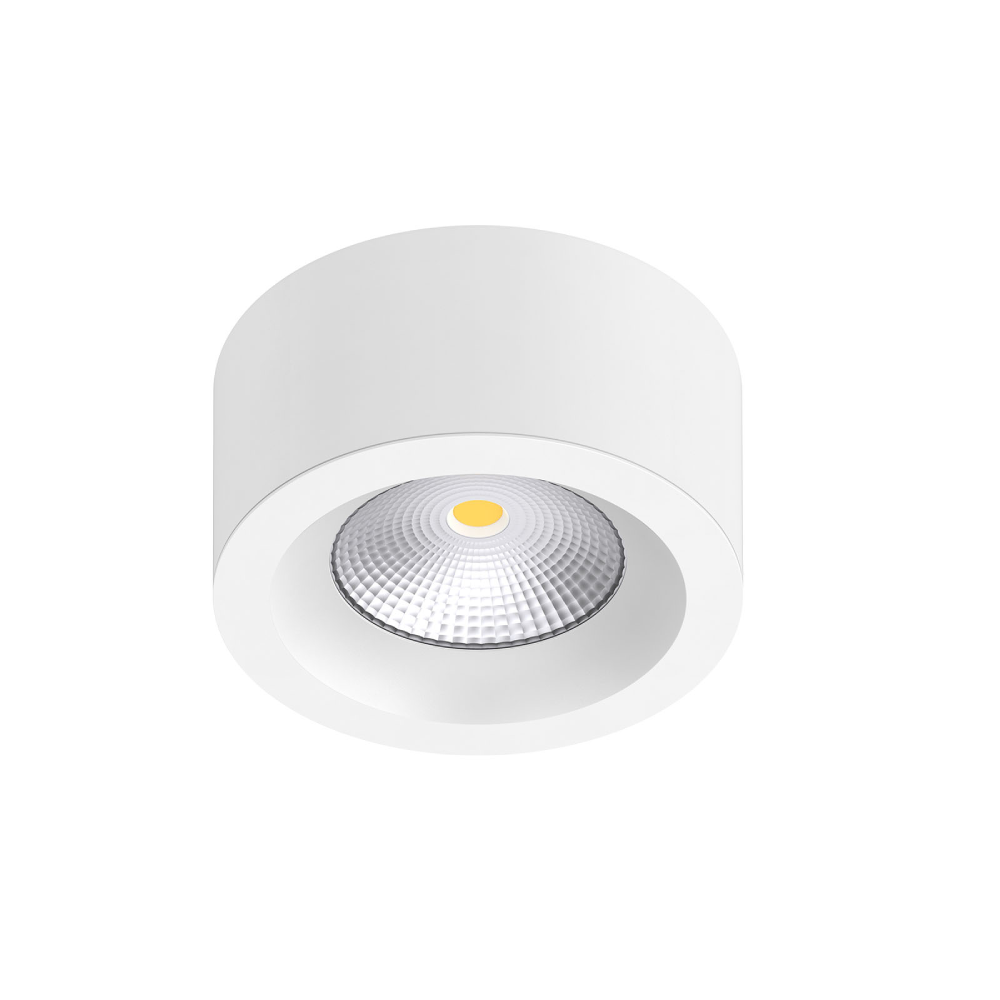 DL326 Super Slim COB DownLight,LED Downlights for Supermarkets & Retail Stores | Voxreal Fixture
,Supermarket, Retail Chain Gondola Shelves and LED Lighting Manufacturer. 