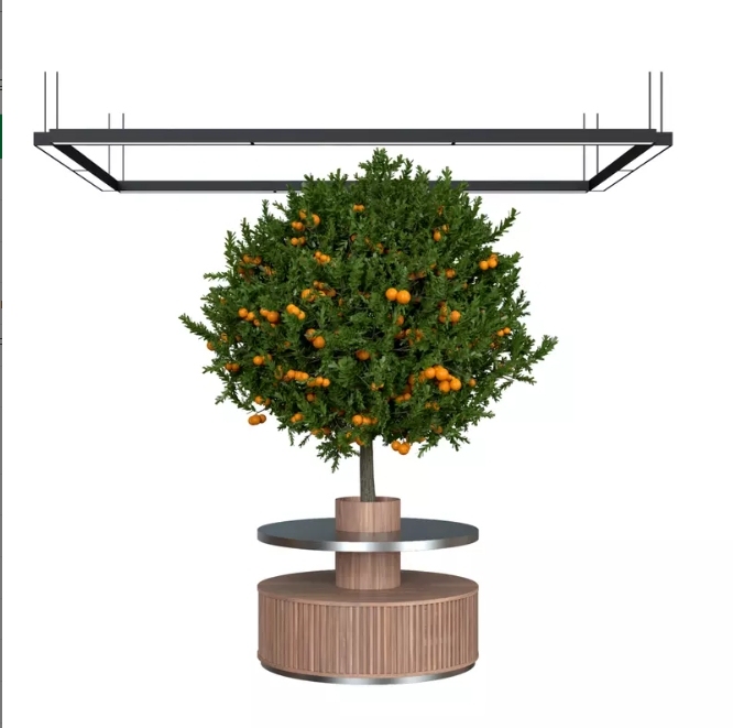 Round Promotion Table,Round Promotion Table,Supermarket, Retail Chain Gondola Shelves and LED Lighting Manufacturer. 