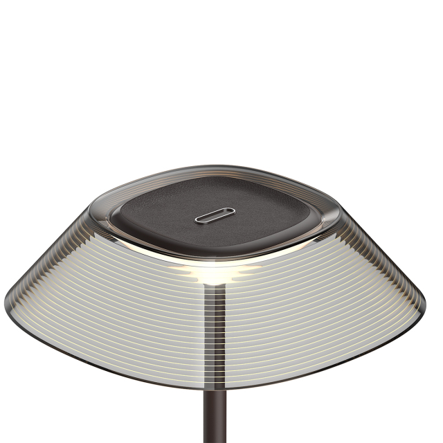 LED desk lamp with night light
