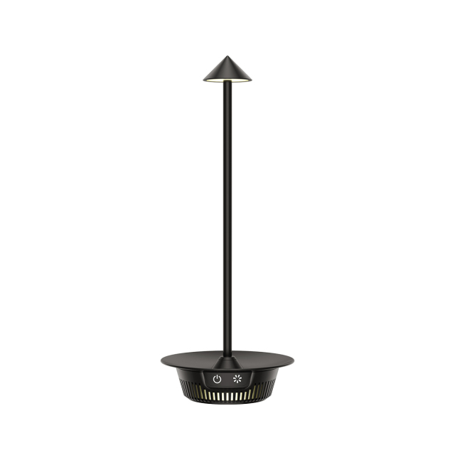 Cordless LED desk lamp