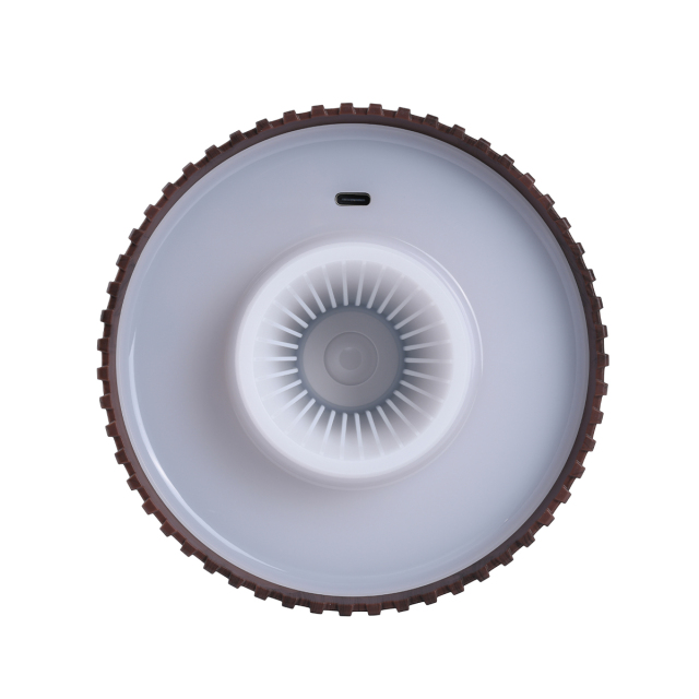 Cordless Rechargeable Battery Bottle Lamp