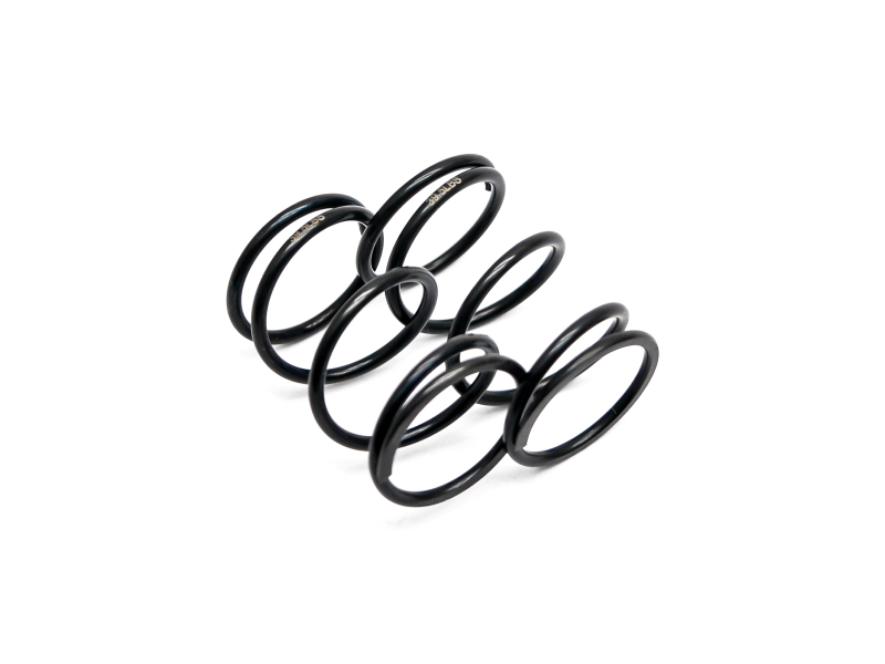 Spring Fr/Rr hard 811GT 39.5 lbs (2) (SER600603)