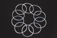Diffcase O-ring EP (10) (SER804200)