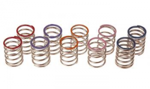 Spring set L23 (5) (SER160310)