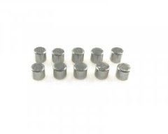 Pin 5x5 (10)  (SER110202)