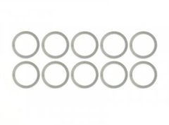 Shim 13X16X0.2 (10) (SER110435)