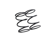 Spring Fr/Rr Purple 811GT 21lbs (2)  (SER600598)