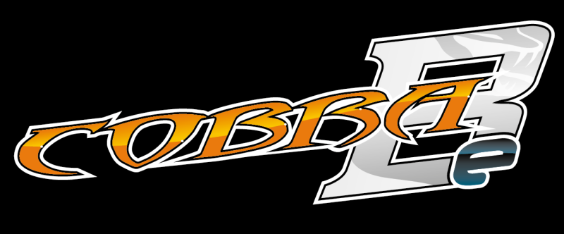 Cobra 811 B-e 1/8 4wd buggy EP (SER600004)