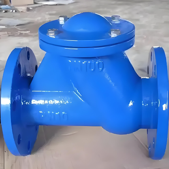 Check Valve