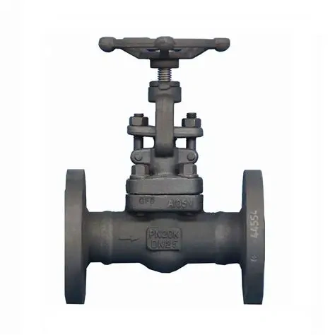 GAV601 Gate Valves
