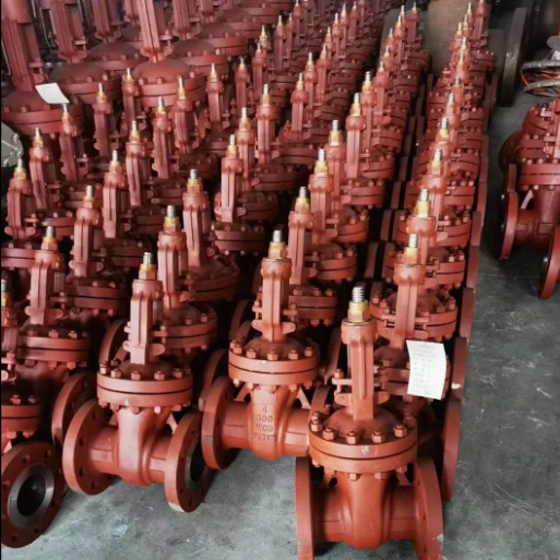 GAV701-900 Gate Valves
