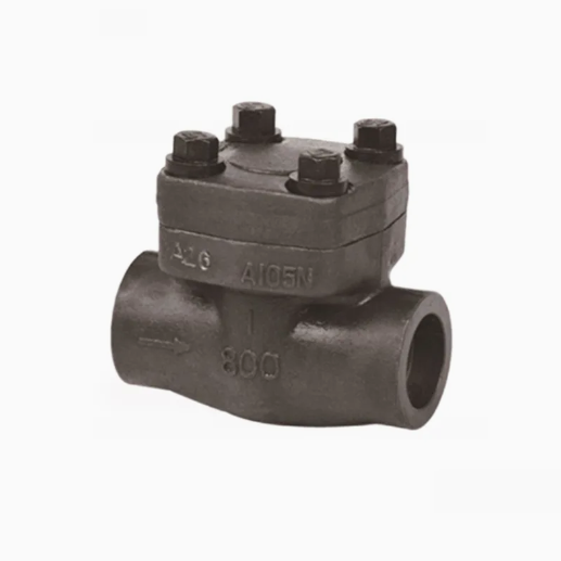 CHV150-300 Check Valves