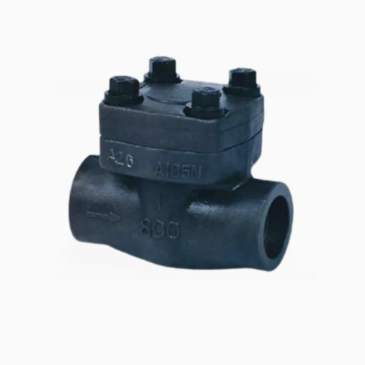CHV150-300 Check Valves