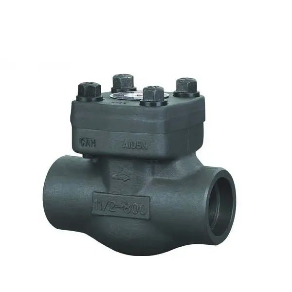 CHV150-300 Check Valves