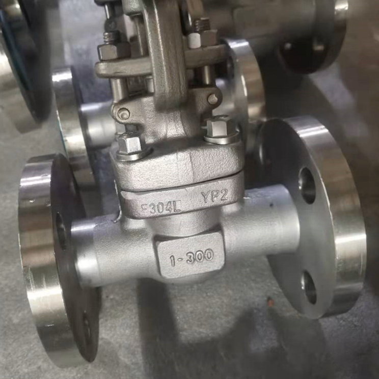 CHV150-300 Check Valves
