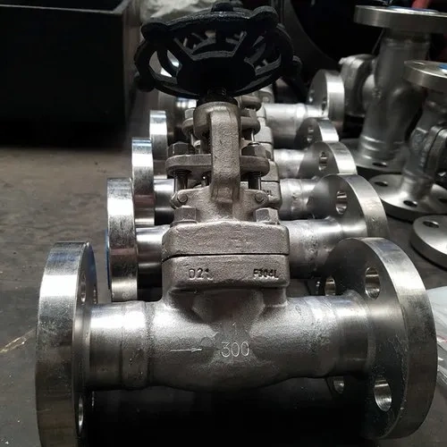 CHV150-300 Check Valves
