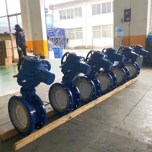 BFV305 306  Butterfly Valve