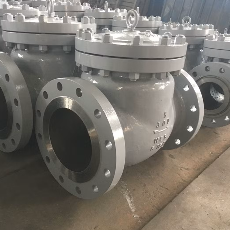 CHV701-900  Check Valves