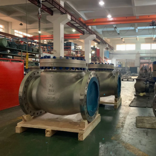 CHV150-300  Check Valves
