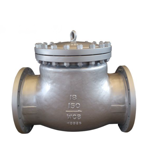 CHV150-300  Check Valves