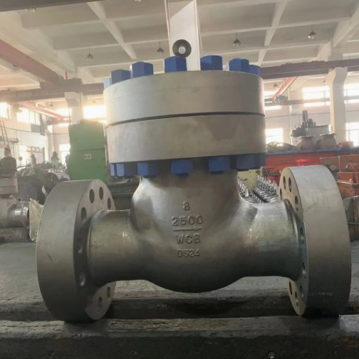 CHV150-300  Check Valves