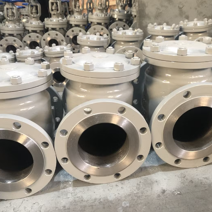 CHV701-900  Check Valves
