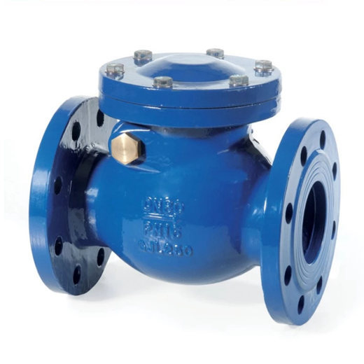 CHV701-900  Check Valves