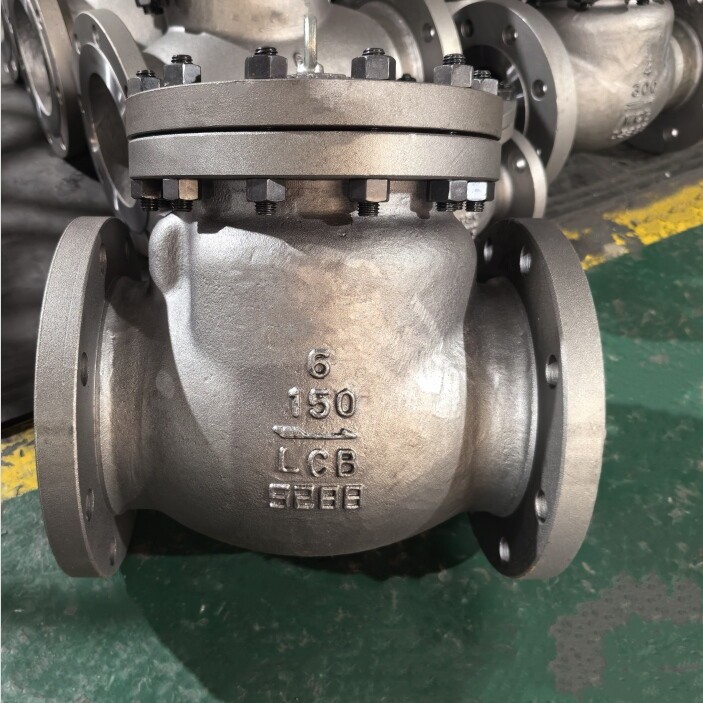 CHV701-900  Check Valves