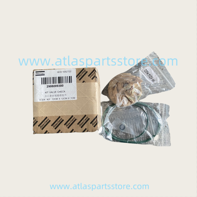 2906009300  Industrial Compressor Parts  Check Valve Kit  For Atlas Copco air Compressor parts