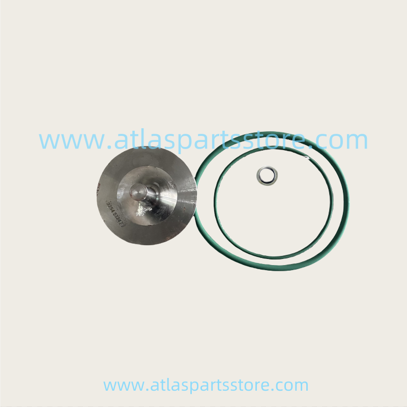2906009300  Industrial Compressor Parts  Check Valve Kit  For Atlas Copco air Compressor parts
