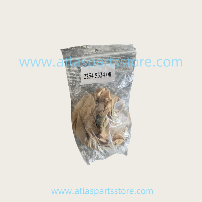 2906009300  Industrial Compressor Parts  Check Valve Kit  For Atlas Copco air Compressor parts