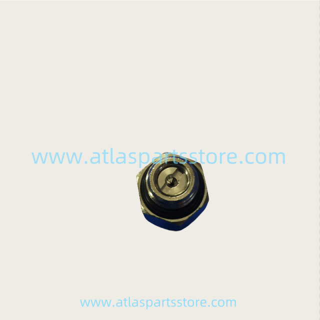 2204154601  Industrial Compressor Parts valve check G1/8 for Atlas Copco  air compressor parts