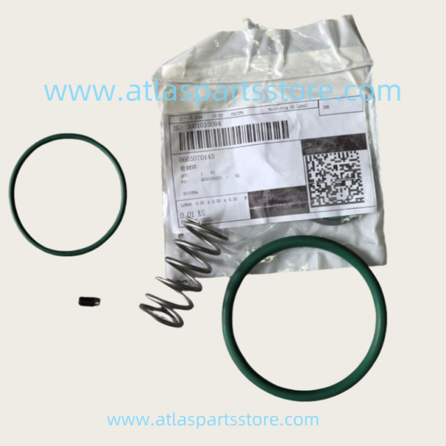 2906096300  Industrial Compressor Parts GA9D/160 OIL BYPASS VLV KIT  for Atlas Copco  Air Compressor parts