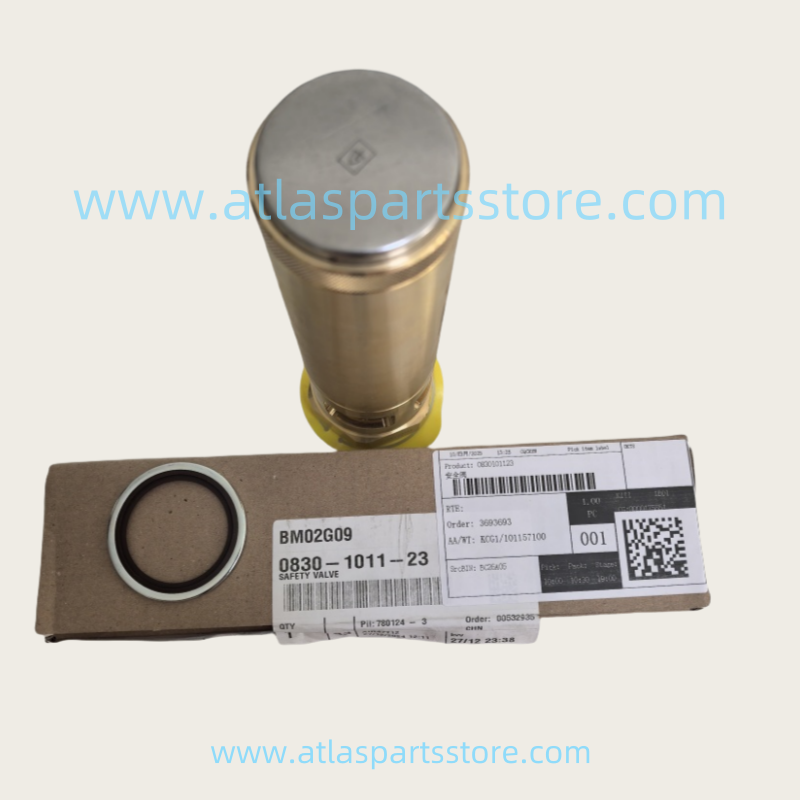 0830100813=1837005980 Original Industrial Compressor Parts Safety Valve Kit for Atlas Copco air compressor parts