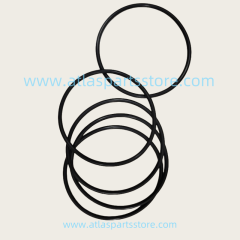 0663713800 Original Industrial Compressor Parts O-Ring for Atlas Copco air compressor parts