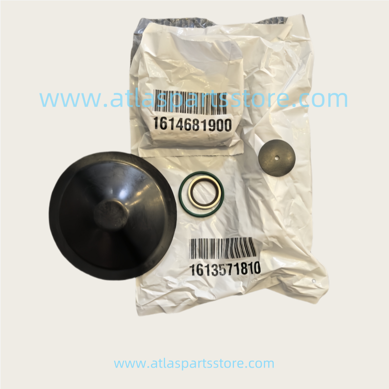 2901110100  Original Industrial Compressor Parts Inlet valve overhaul kit for Atlas Copco air compressor parts