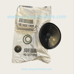 2901110100  Original Industrial Compressor Parts Inlet valve overhaul kit for Atlas Copco air compressor parts