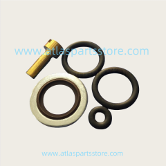 2901107700 Original Industrial Compressor Parts check valve kit for Atlas Copco air compressor parts