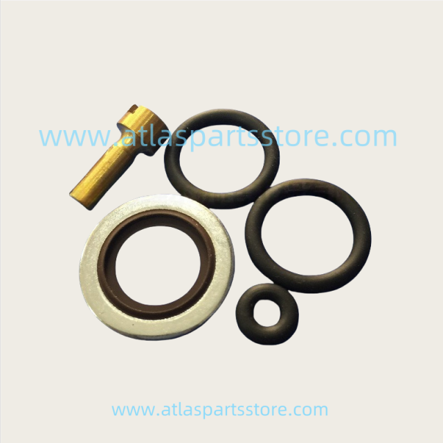2901107700 Original Industrial Compressor Parts check valve kit for Atlas Copco air compressor parts