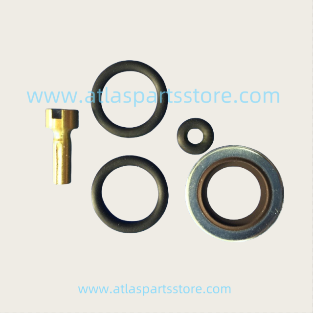 2901107700 Original Industrial Compressor Parts check valve kit for Atlas Copco air compressor parts