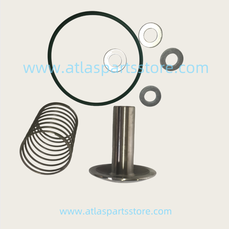 2901110000 Original Industrial Compressor Parts check valve kit for Atlas Copco air compressor parts