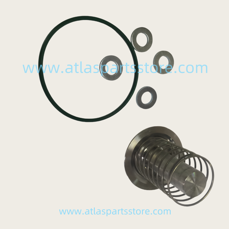 2901110000 Original Industrial Compressor Parts check valve kit for Atlas Copco air compressor parts