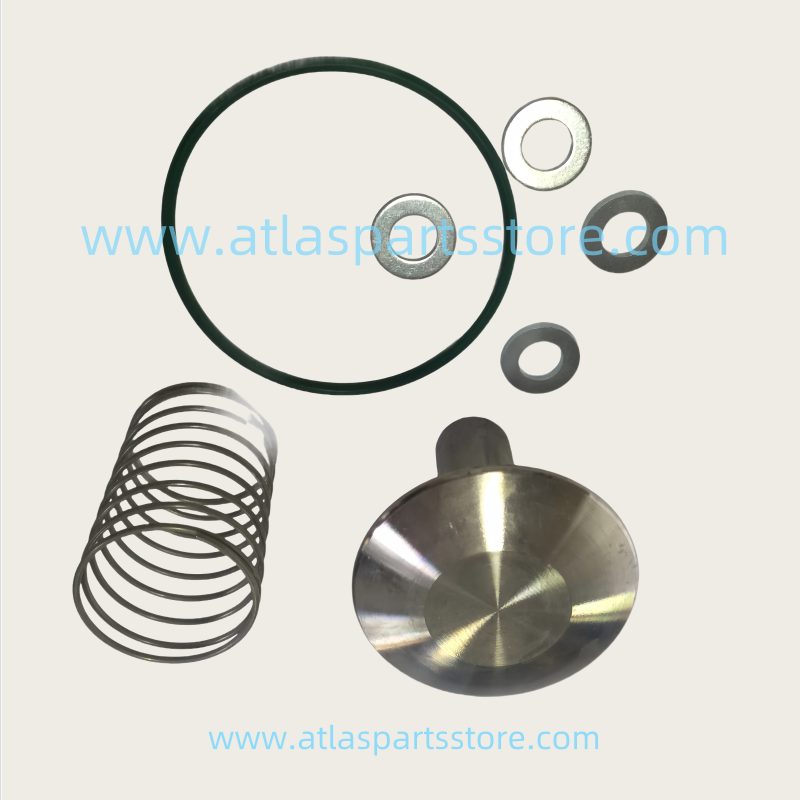 2901110000 Original Industrial Compressor Parts check valve kit for Atlas Copco air compressor parts