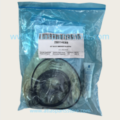 2901145300 Original Industrial Compressor Parts kit valve minimum pressere for Atlas Copco air compressor parts