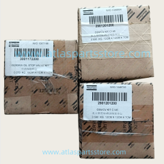 2901201200 Original Industrial Compressor Parts OSVICV KIT C146 for Atlas Copco air compressor parts