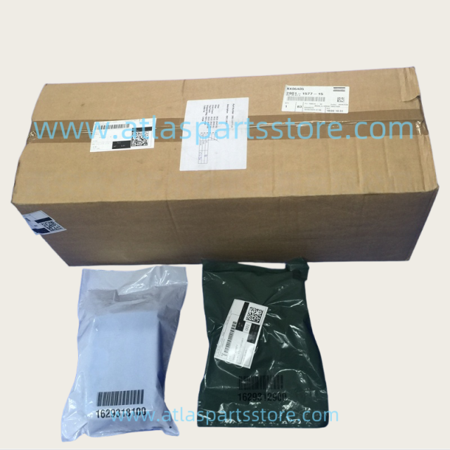 2901157715=2901157720 Original Industrial Compressor Parts OSC DIBT 145 KIT D for Atlas Copco air compressor parts
