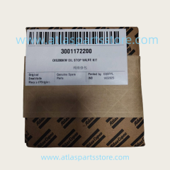 2906069400=3001172200 Original Industrial Compressor Parts oil stop valve kit for Atlas Copco air compressor parts