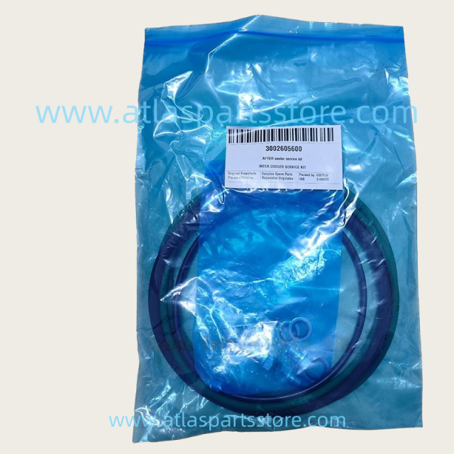 3002605710 Original Industrial Compressor Parts cooler cleaning kit for Atlas Copco air compressor parts