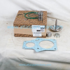 1625170485 Original Industrial Compressor Parts check valve kit for Atlas Copco air compressor parts